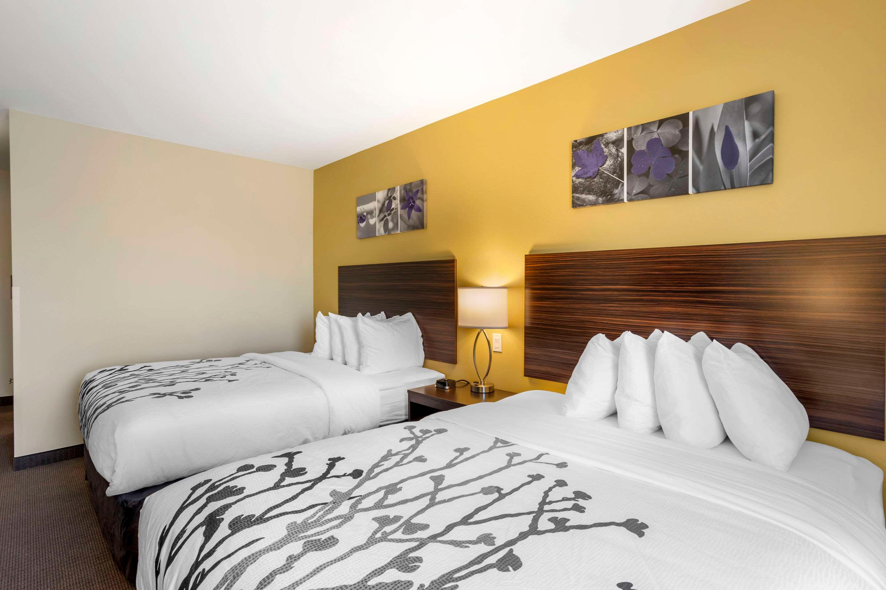 Room, 2 Queen Beds