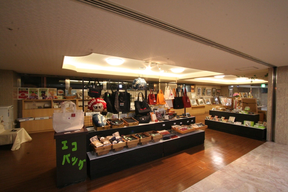 Okayama Plaza Hotel 29/50