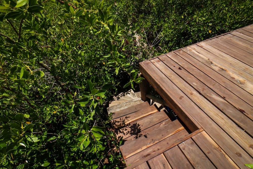 Cormoran Hotel Boutique & Cenote 43/48