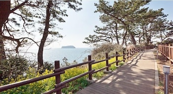 Jeju Castle 30/32