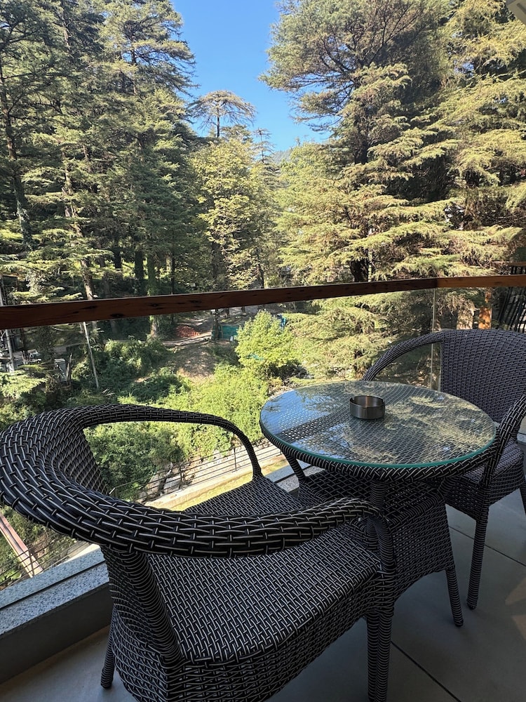 Mastiff Select Mandavya Dharamkot, McLeodganj 39/61