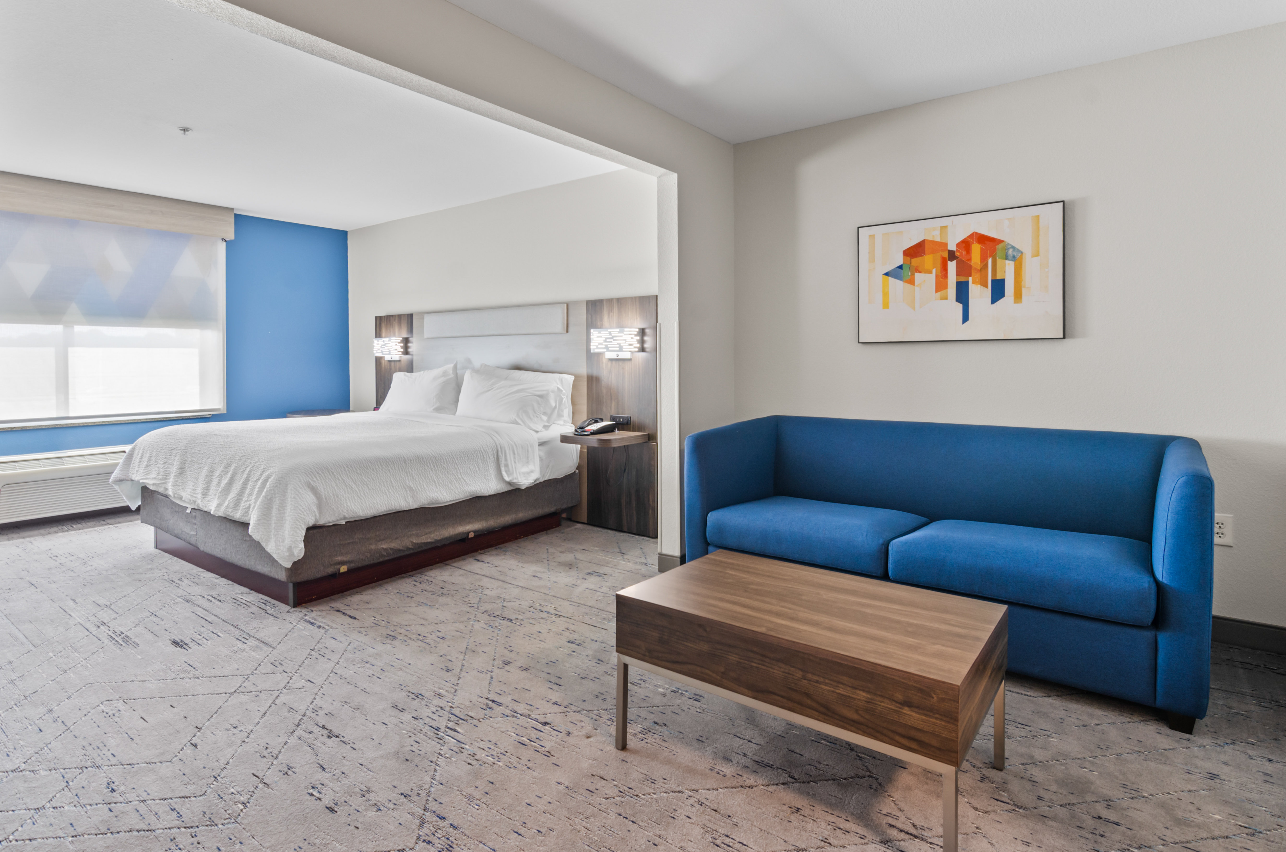 Holiday Inn Express Hotel And Suites Mount Airy 21/60