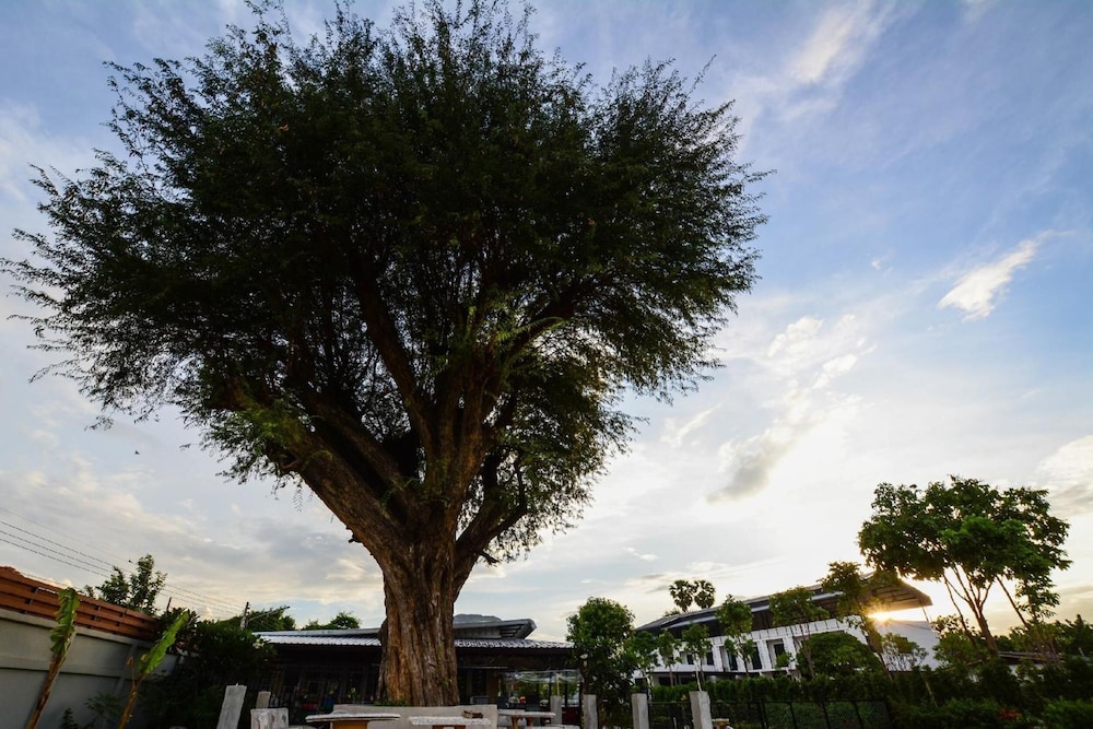 B Y Hotel Kanchanaburi 57/63