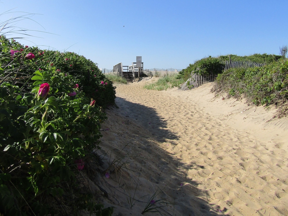 Sole East Beach 16/23