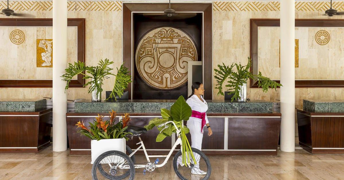 Paradisus Punta Cana 8/55