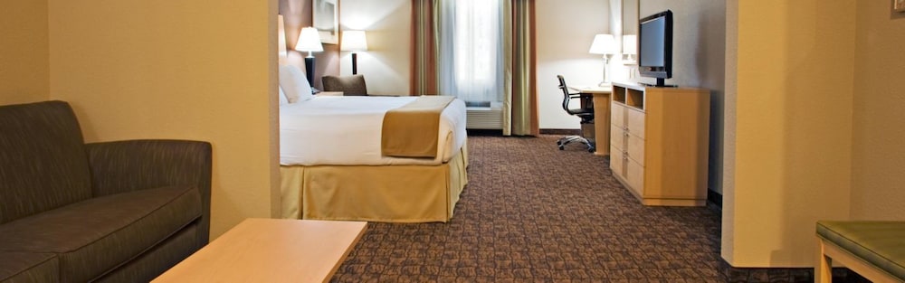 Holiday Inn Express Hotel And Suites Borger 13/43