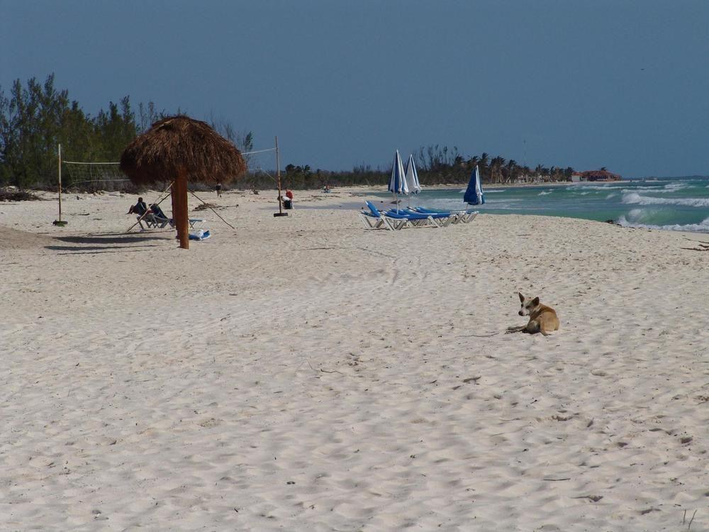 Cocos Cabanas Playa del Carmen Adults Only 44/51