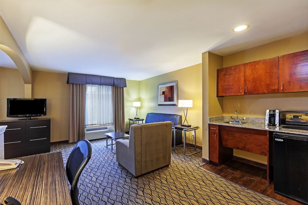 Holiday Inn Express Hotel And Suites Houston Downtown Convention Center 27/72