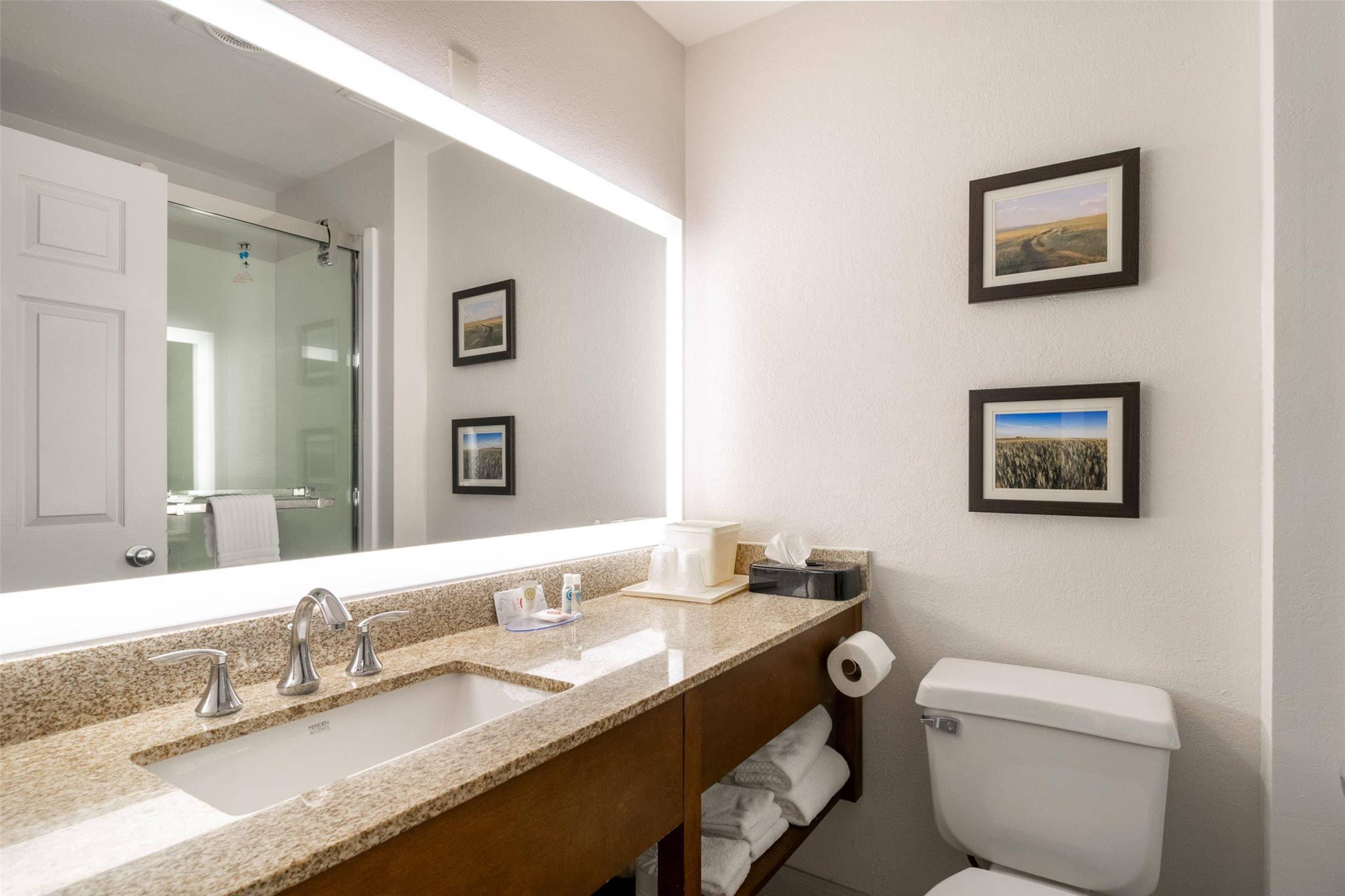 Comfort Inn Great Falls South 16/16