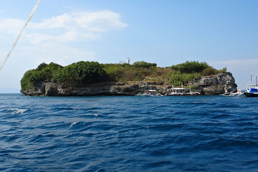 Badian Island Wellness Resort 33/50