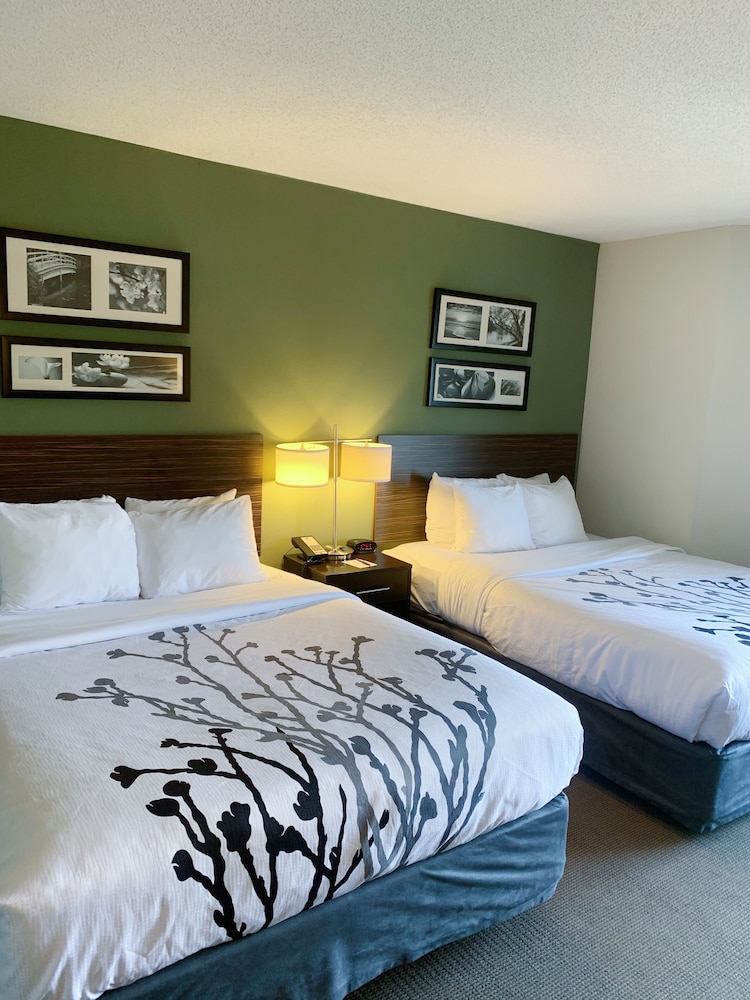 Standard, 2 Queen Beds