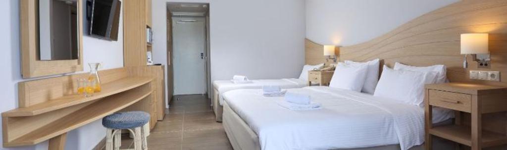 غرفة قياسية بسرير فردي بإطلالة على الحديقة، Lyttos Beach Hotel 3/3