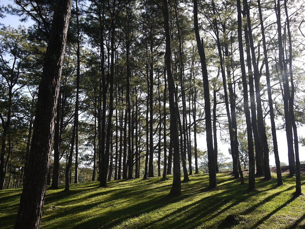 Azalea Hotels & Residences Baguio 43/49