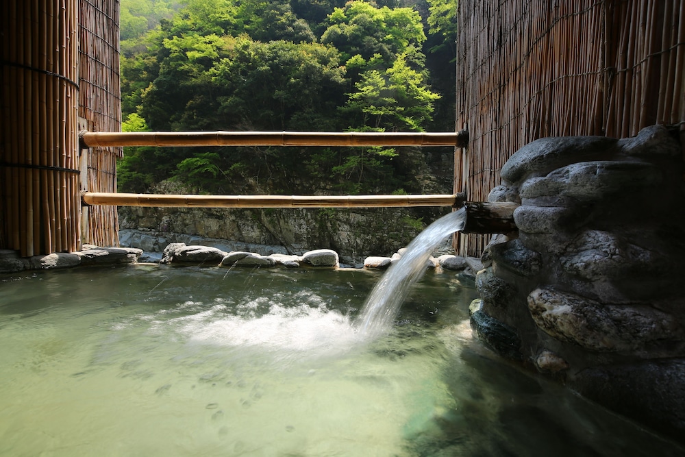 Nano Yado Hotel Iya Onsen 25/50