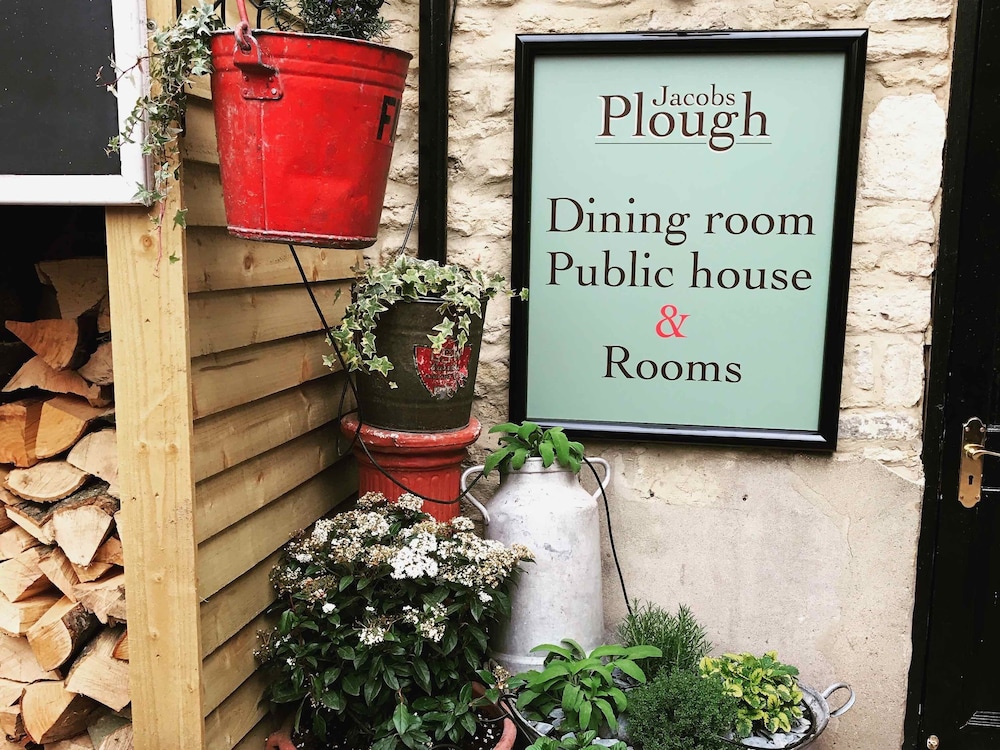 The Plough 1/21