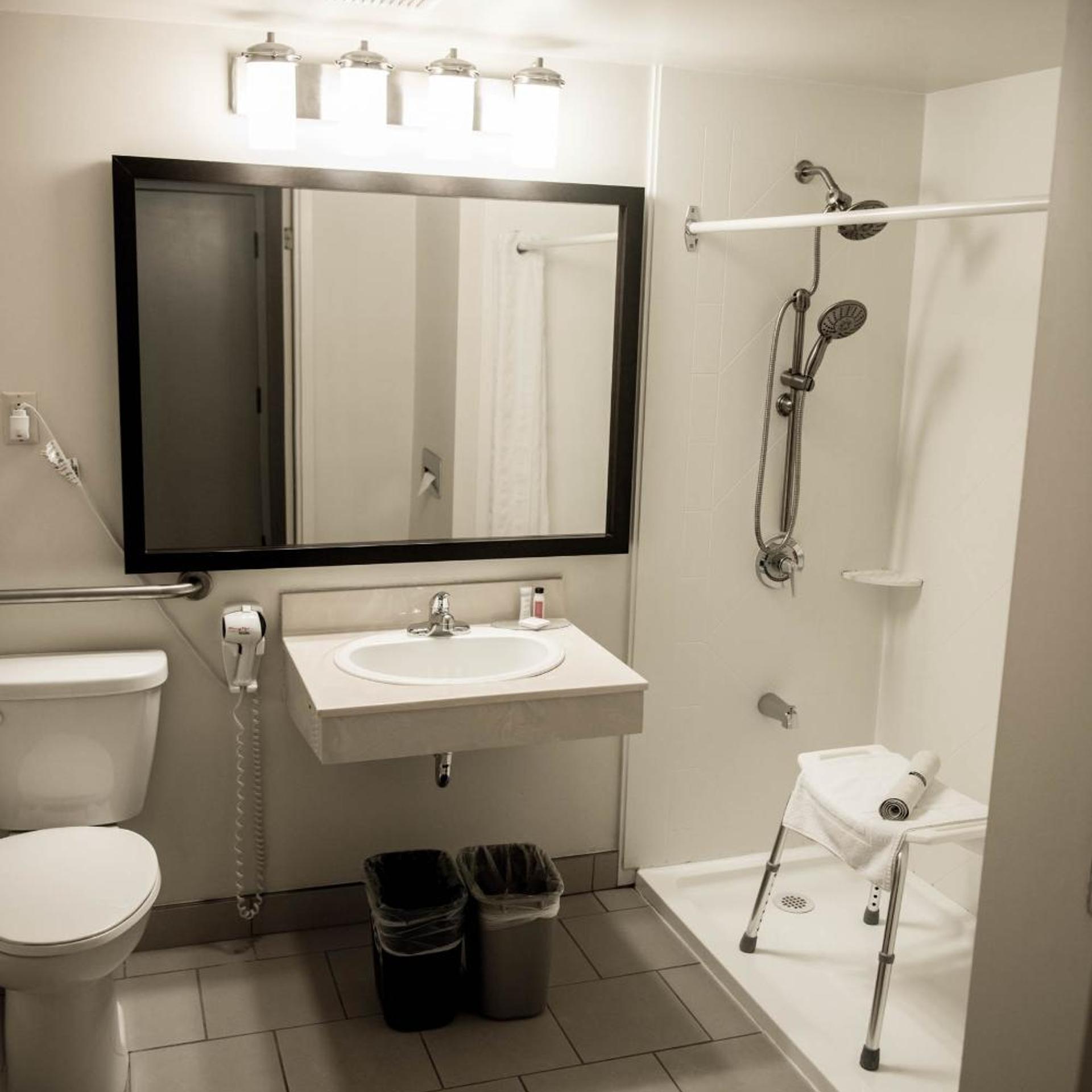 Room, King Bed, Sofa, Accessible