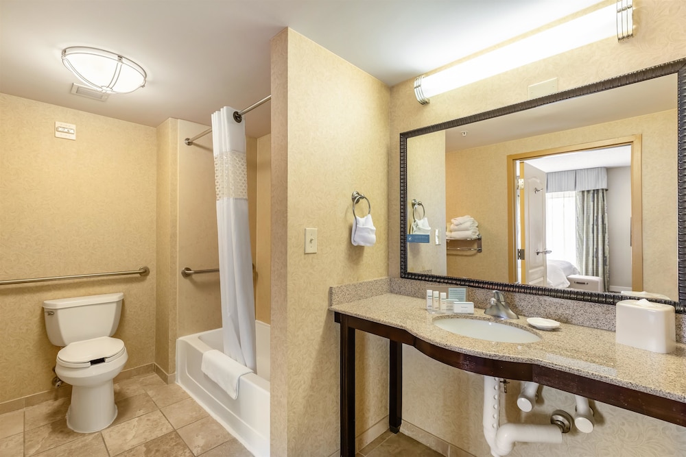 Hampton Inn & Suites Orlando-South Lake Buena Vista 14/49