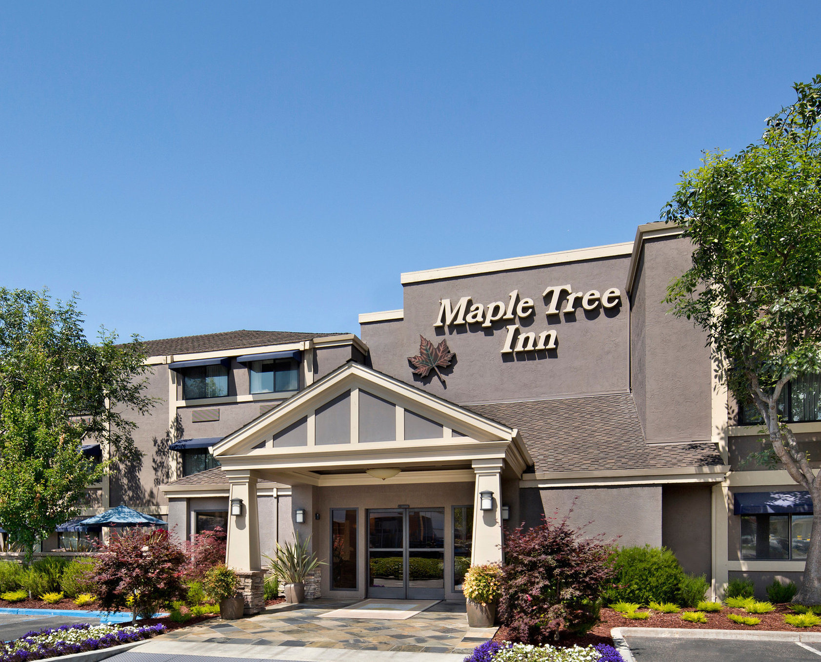Maple Tree Inn 2/40