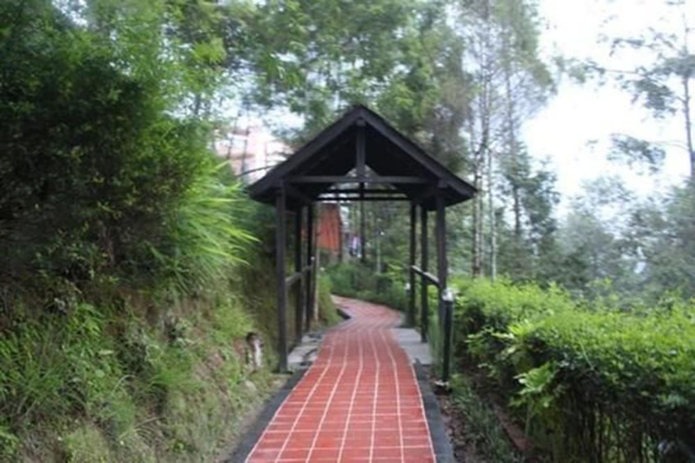 Chautari Paradise Inn 33/37