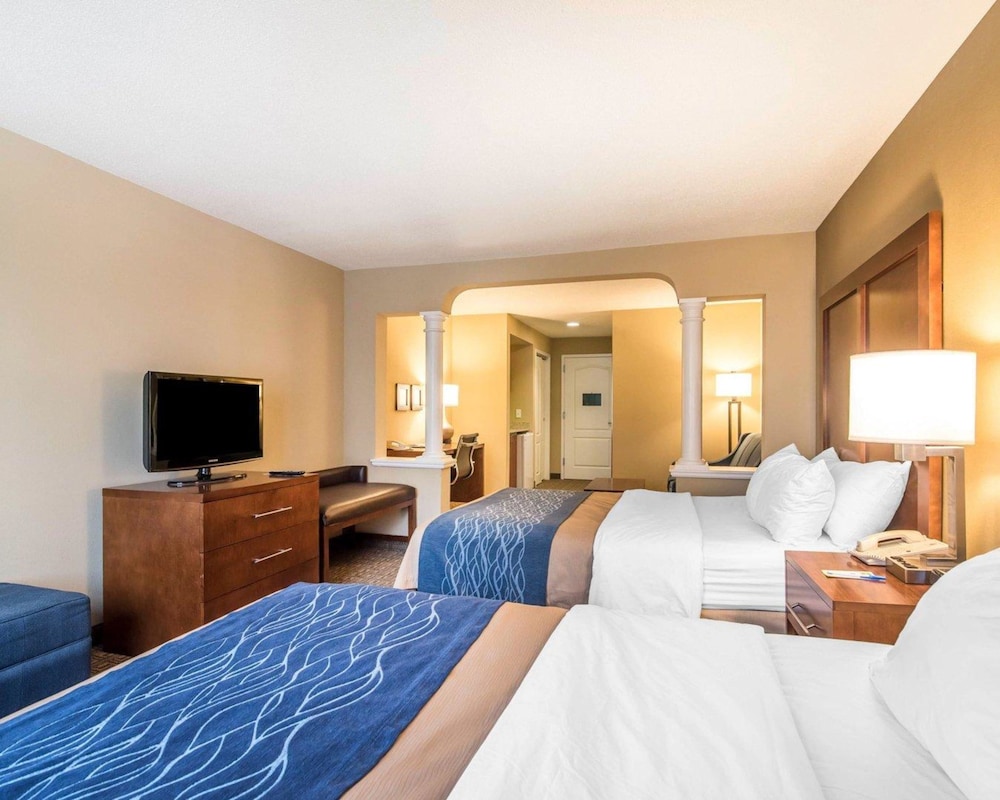Comfort Inn and Suites Dover-Portsmouth 19/46