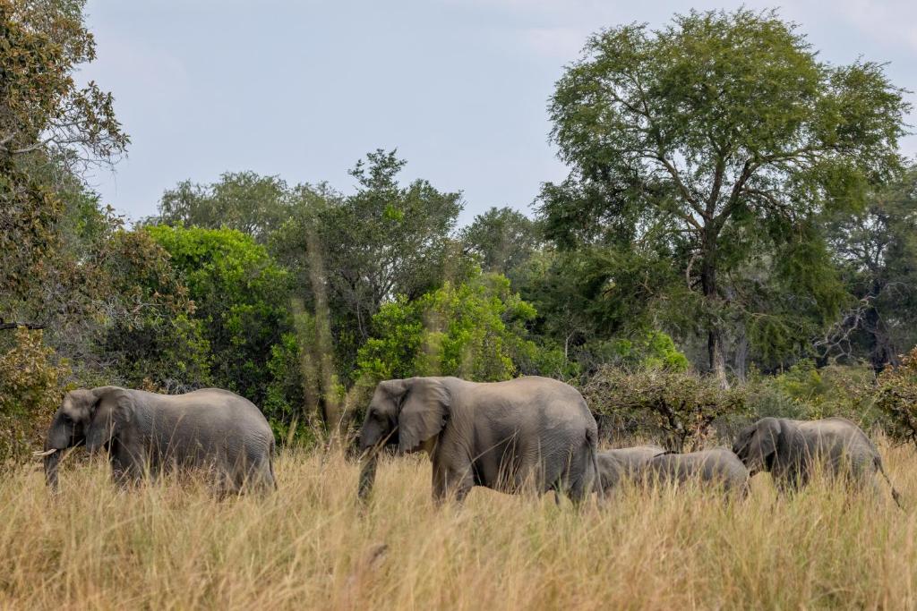 Anantara Tented Camp Kafue River 61/64