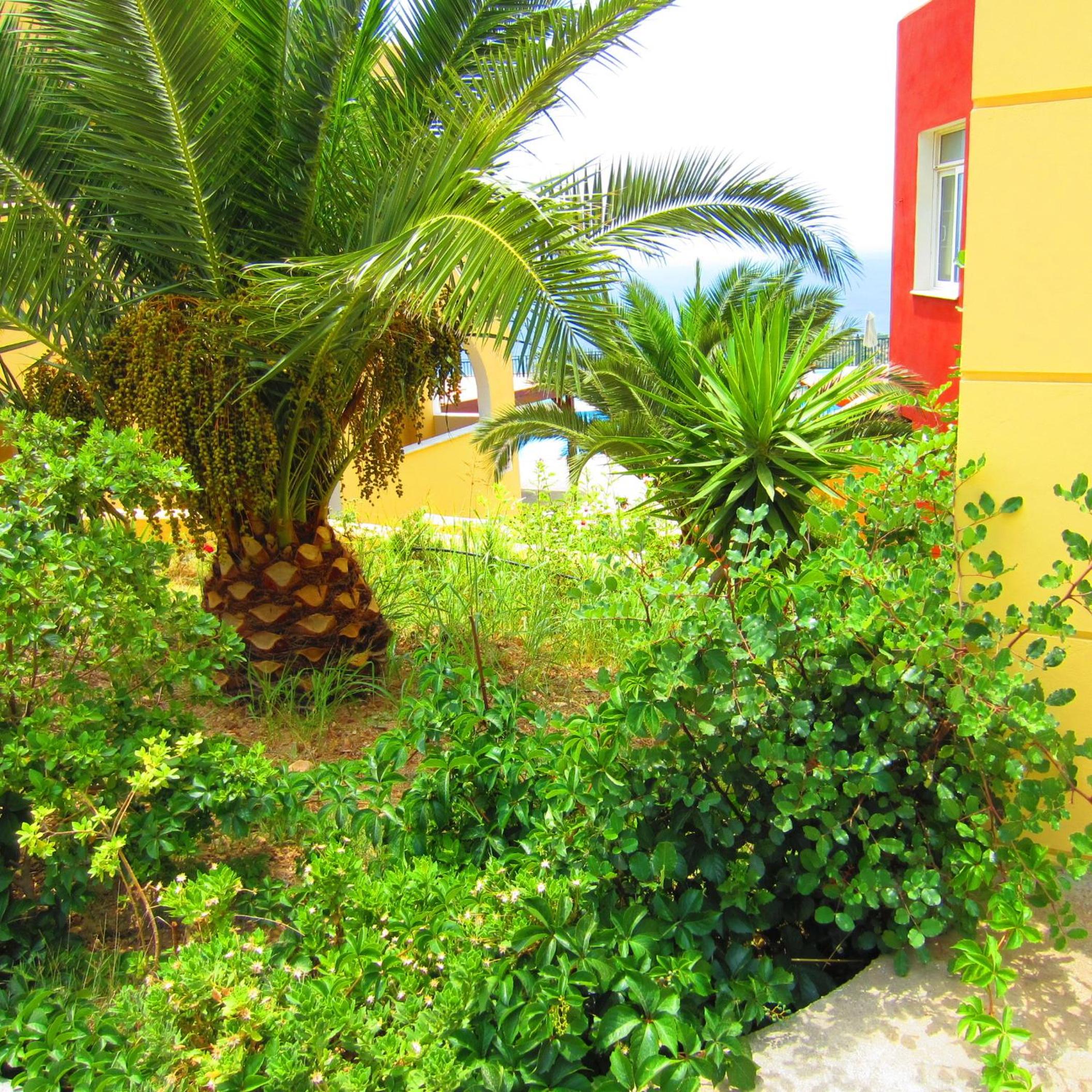 Saint Catherine Hotel 48/50