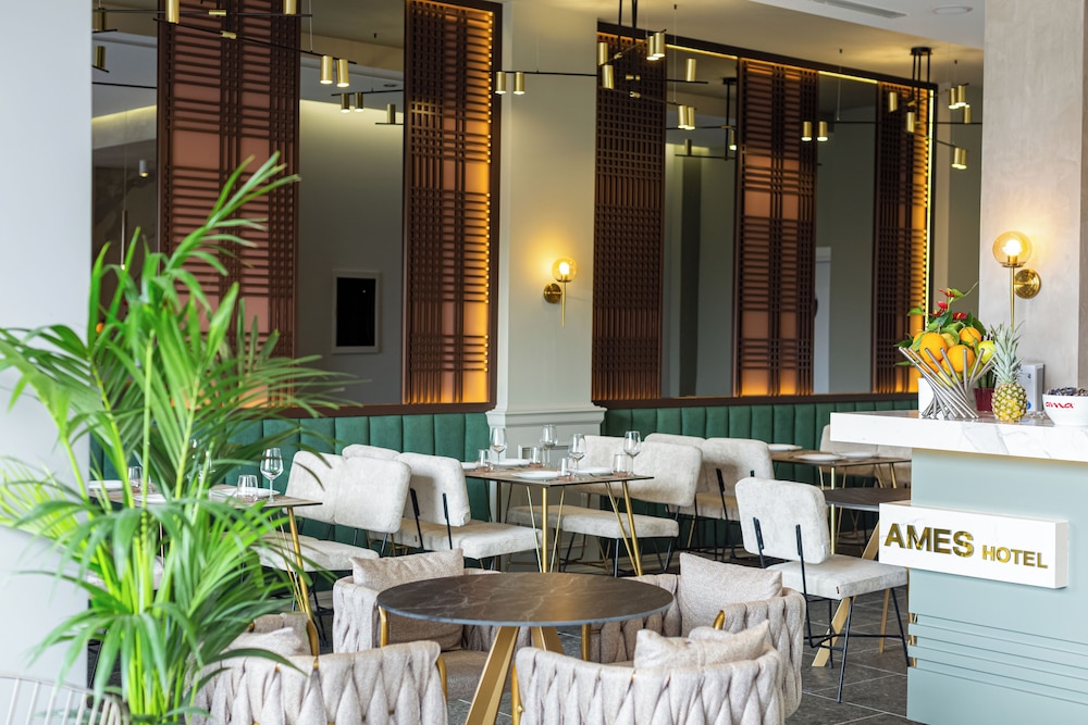 Ames Hotel & Spa 42/56