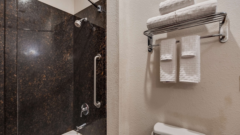 Best Western Plus Greenville South 18/41