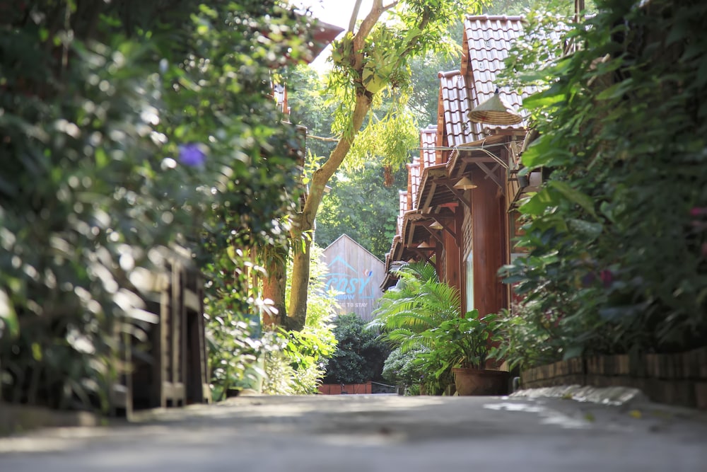 Cosy Bungalow Phu Quoc 6/24