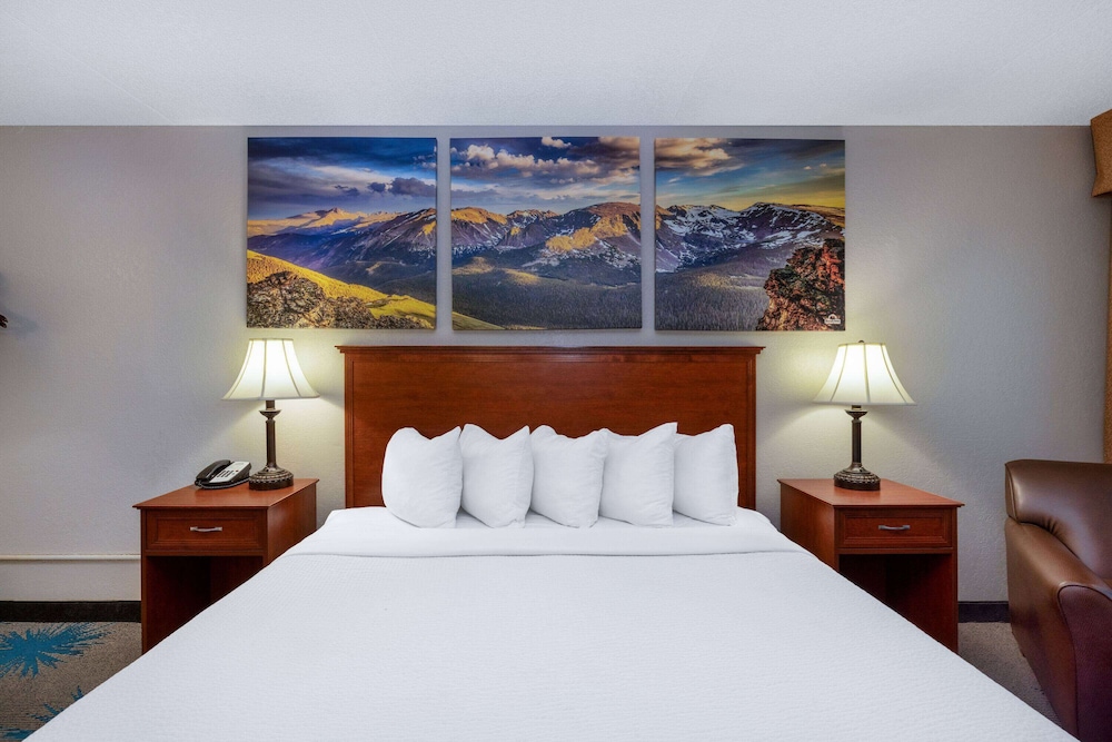 Suite, King Bed