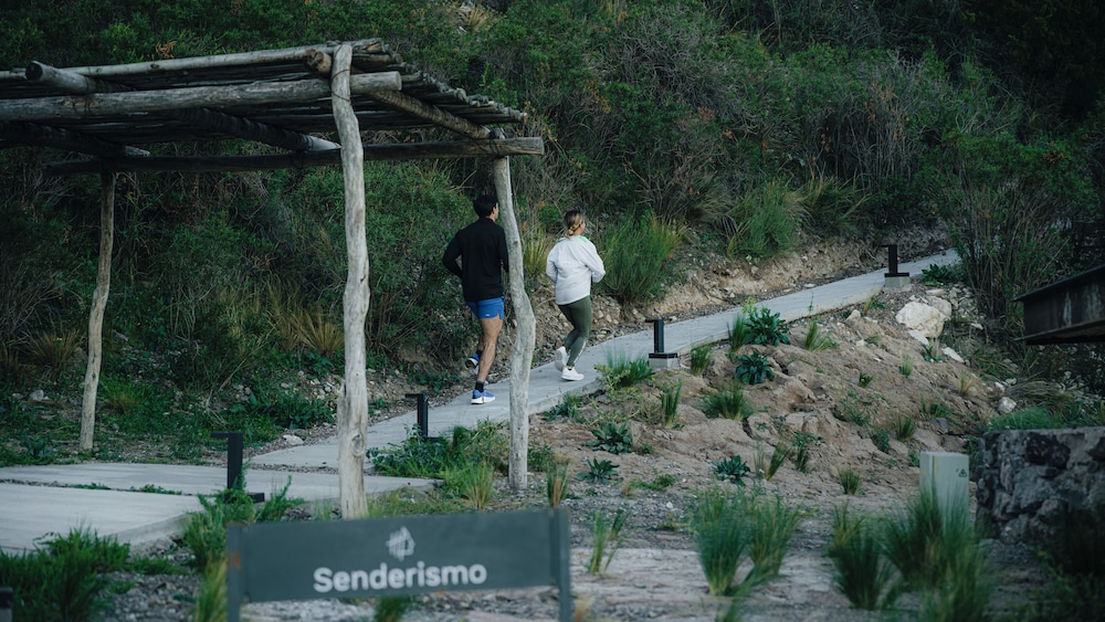 Puesto del Indio 41/50