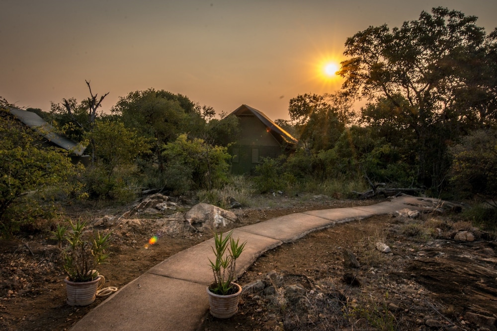 Garonga Safari Camp 44/50