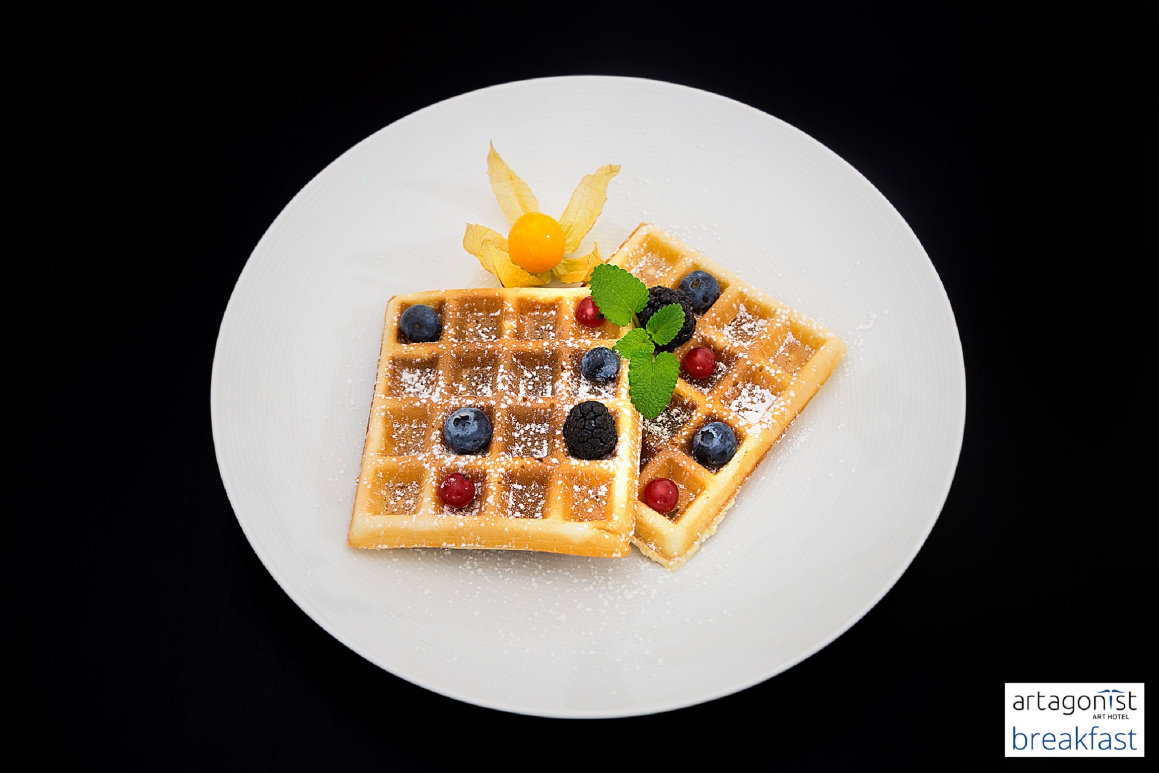Artagonist Art Hotel 27/37