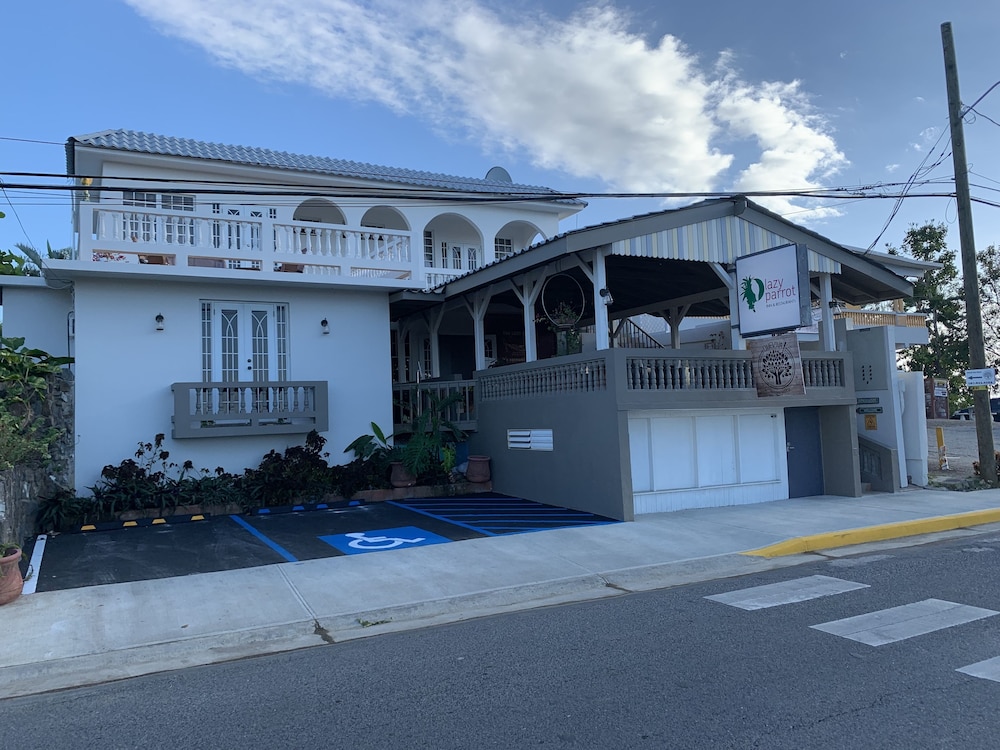 The Lazy Parrot Inn Amp Mini Resort 5/69