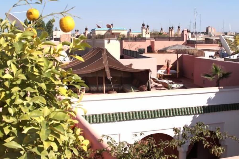 RIAD CANNELLE 4/56
