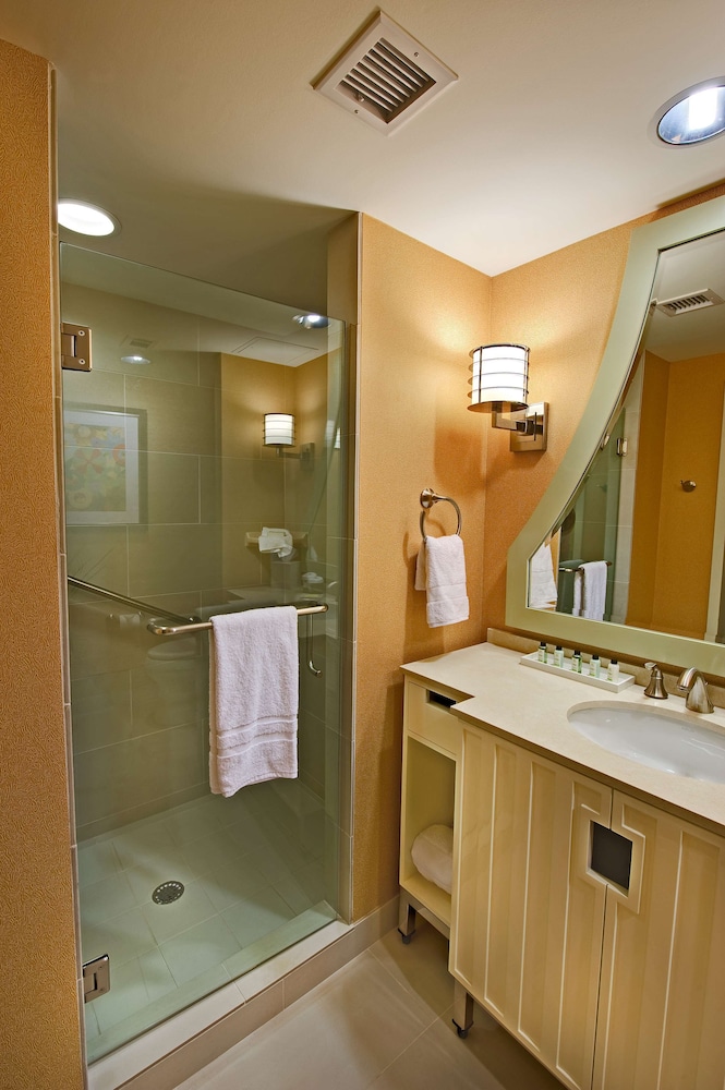 Embassy Suites by Hilton Houston Downtown 27/71