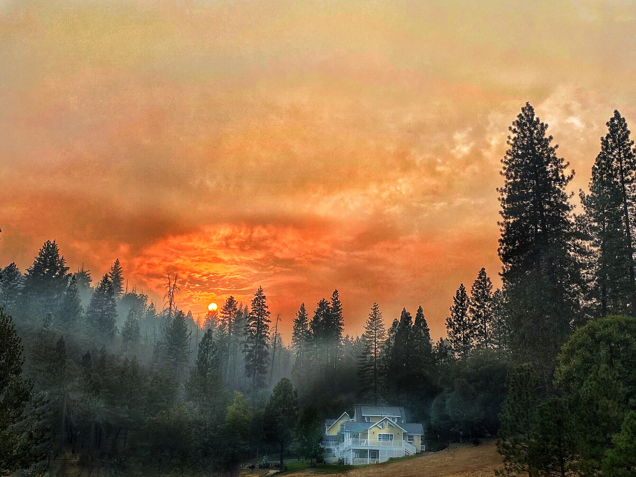 Blackberry Inn Yosemite 29/32