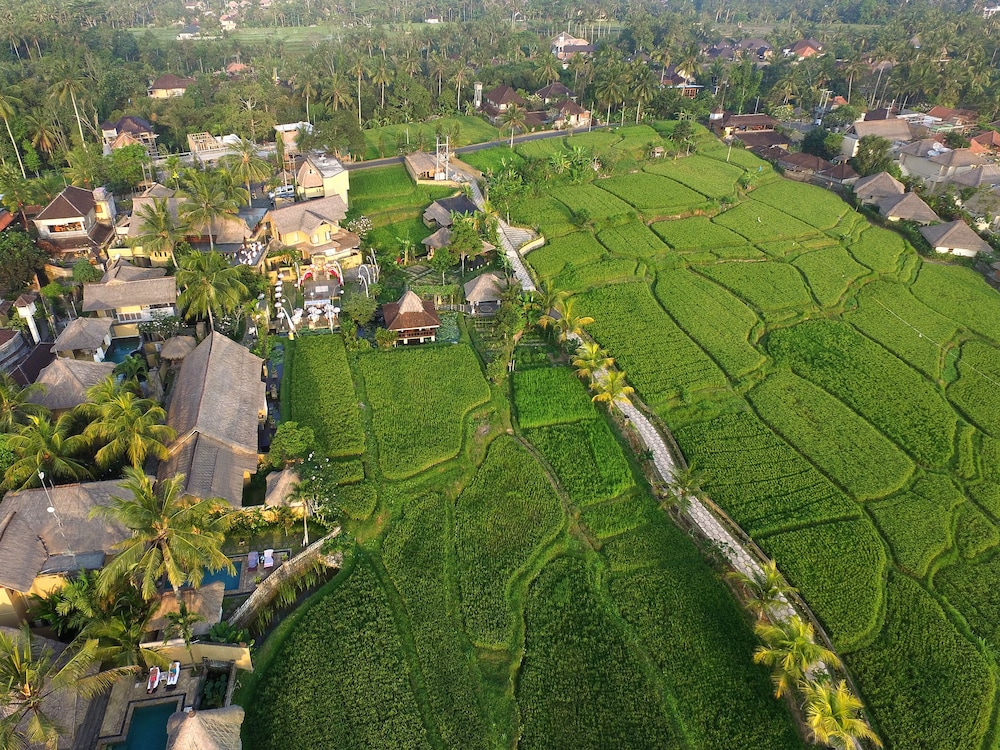 Wapa Di Ume Ubud 44/49