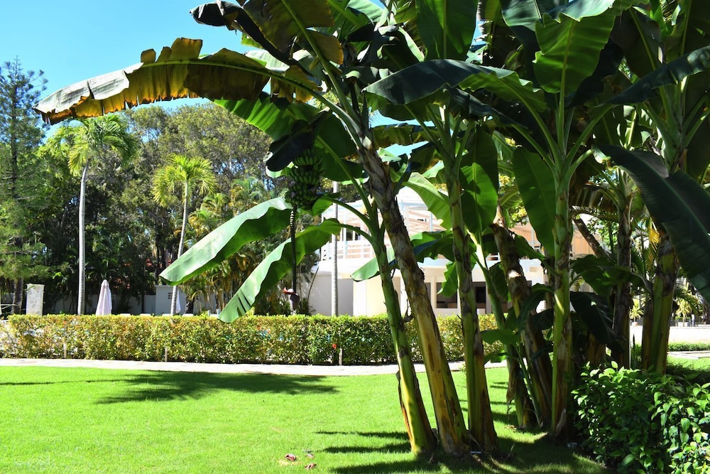 Tropical Casa Laguna 43/50