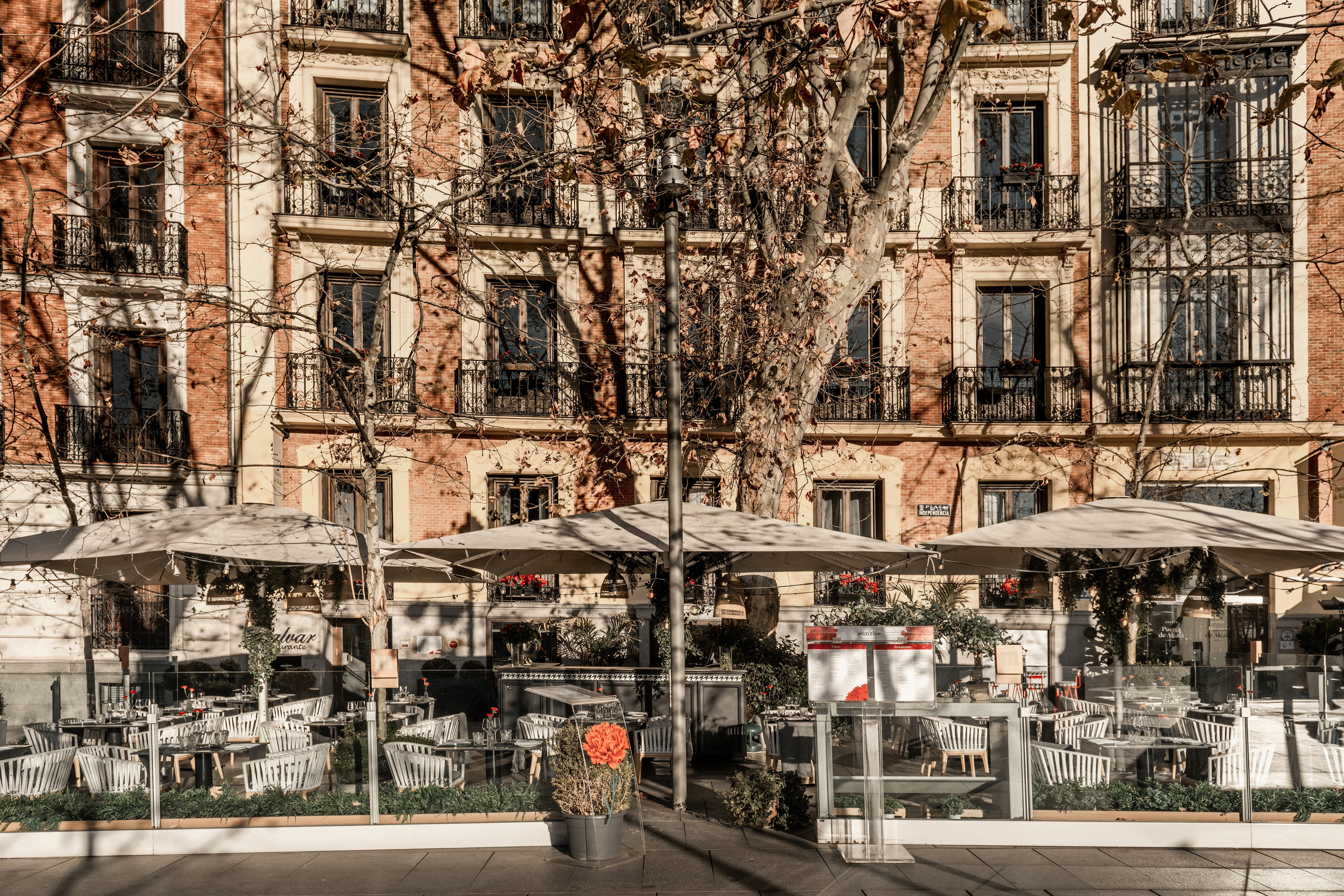 オスペス プエルタ デ アルカラ(HOSPES PUERTA DE ALCALA) 写真3