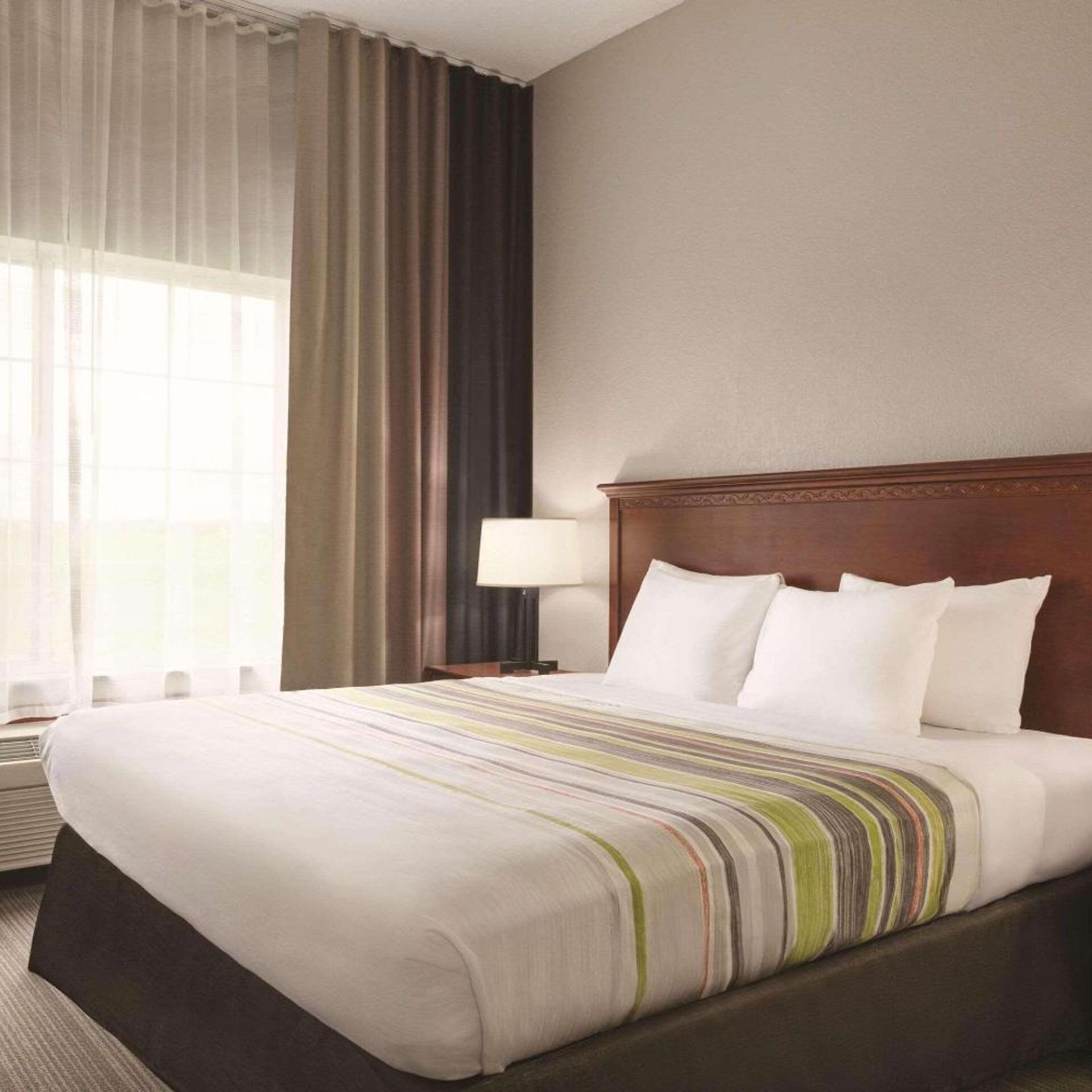 Suite, King Bed, Sofa