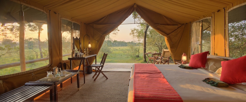 Elephant Pepper Camp 24/48