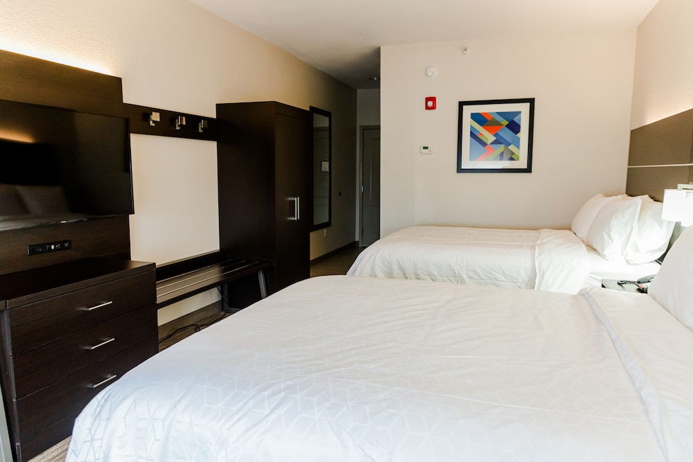 Holiday Inn Express Hotel and Suites Greenville 21/64