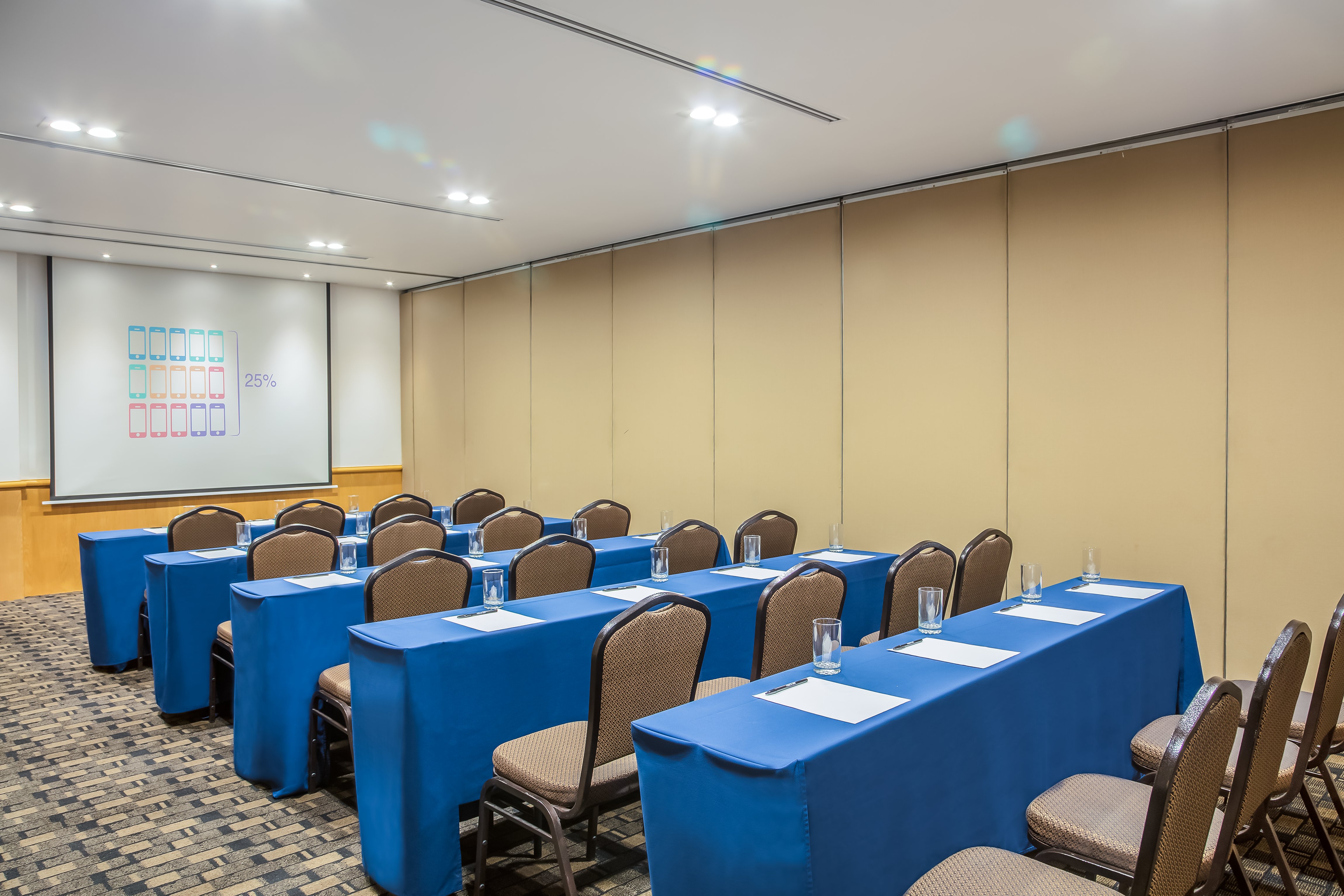 Fiesta Inn Monterrey La Fe 42/53