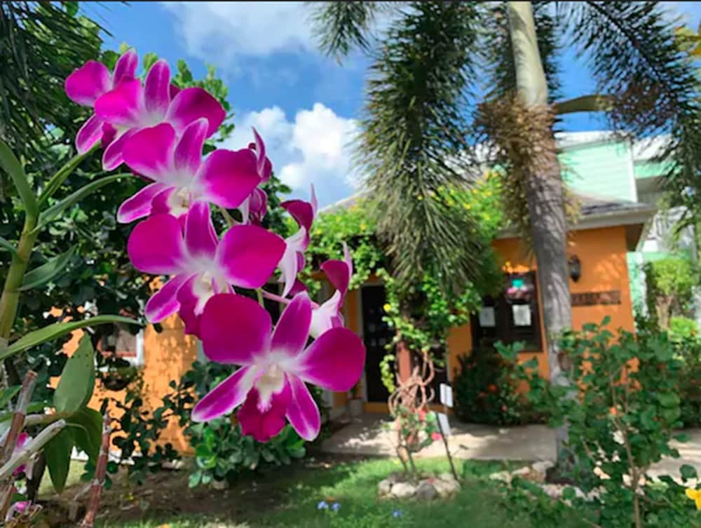 BUCCANEER BEACH CLUB 49/71