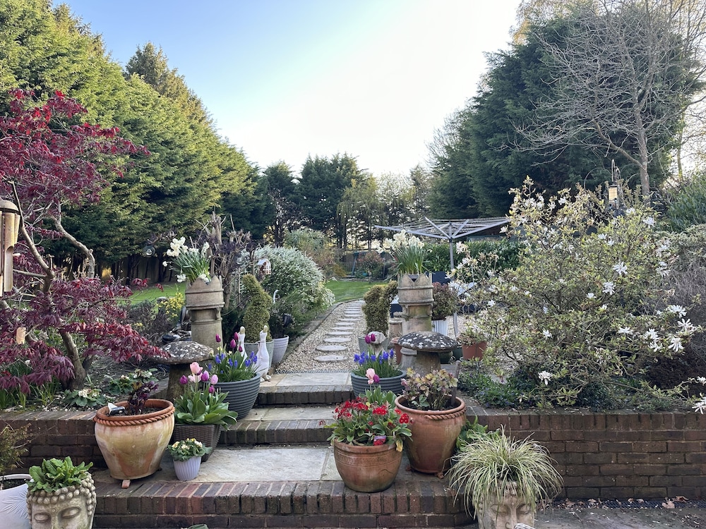 Beechwood B&amp;B 31/32