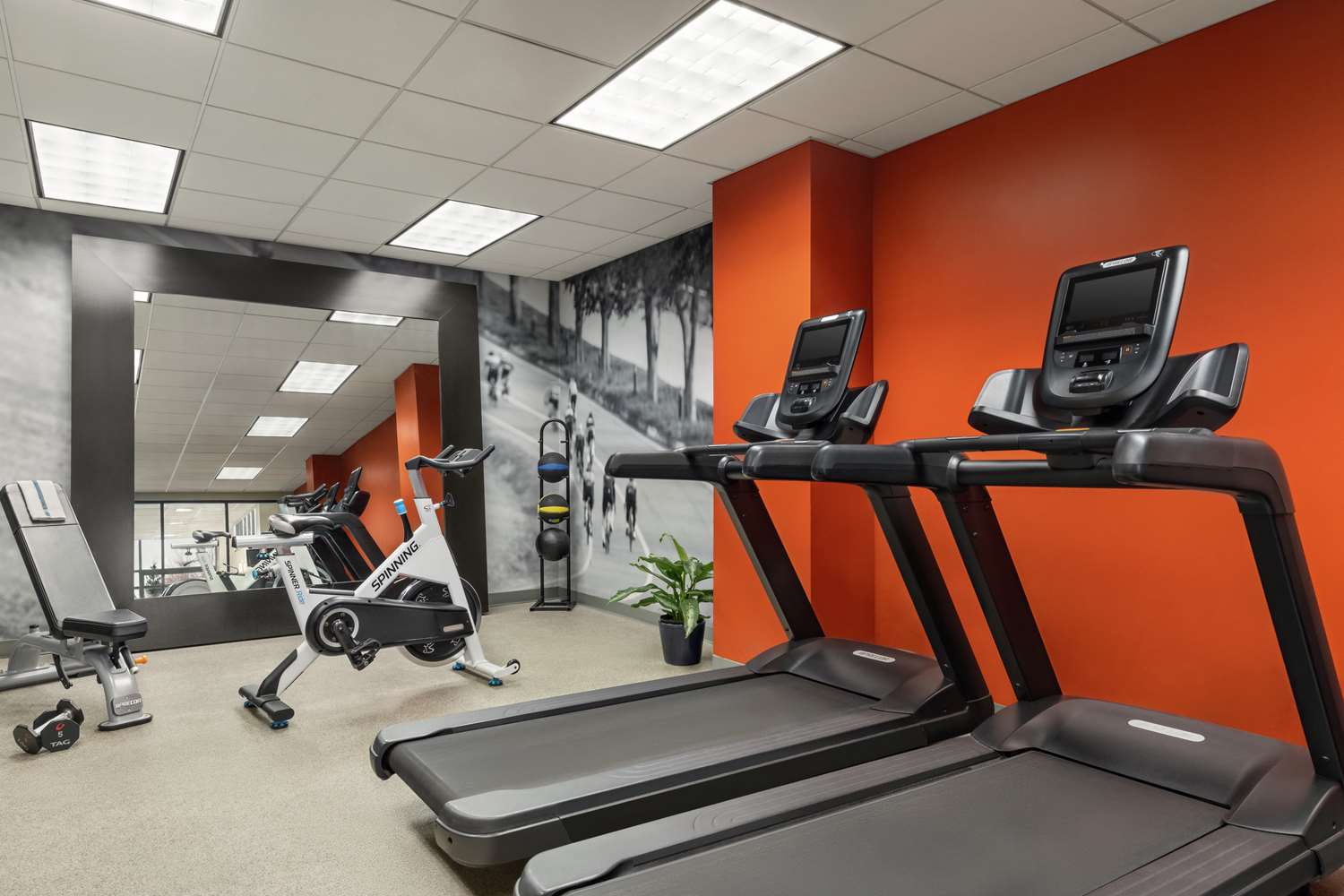 sport facilities