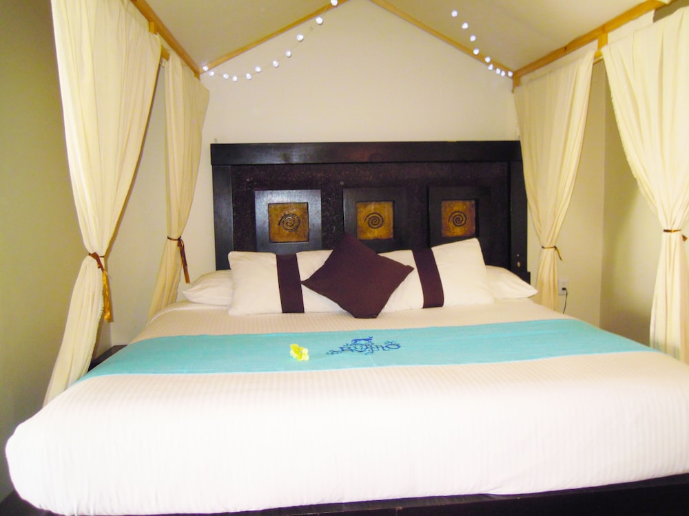 Hotel & Spa Mansion Del Burro Azul 27/50