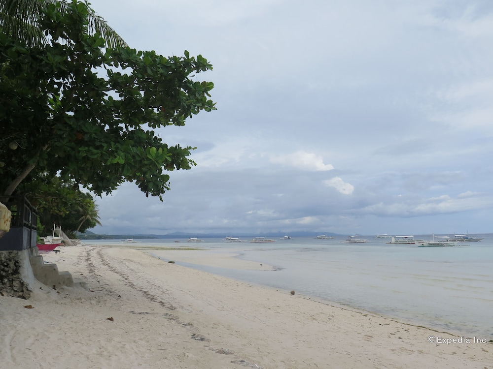 Panglao Grande Resort photo3
