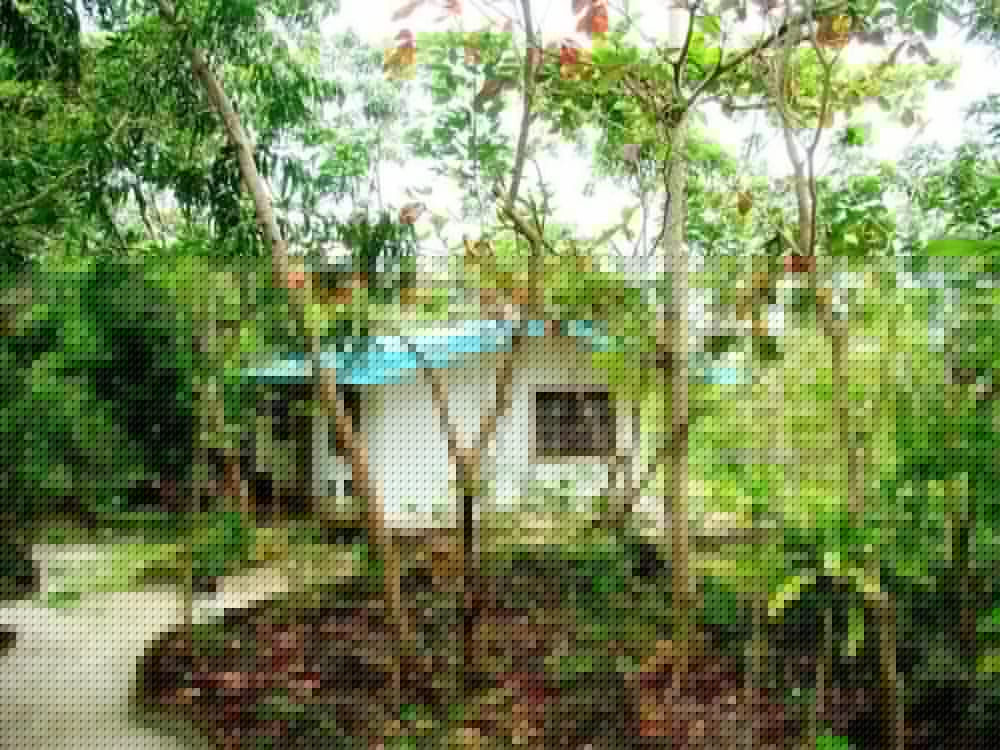Bantayan Island Nature Park And Resort 55/62